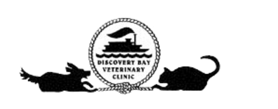 Discovery Bay Veterinary Clinic Logo