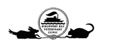 Discovery Bay Veterinary Clinic Logo Discovery Bay Veterinary Clinic Logo