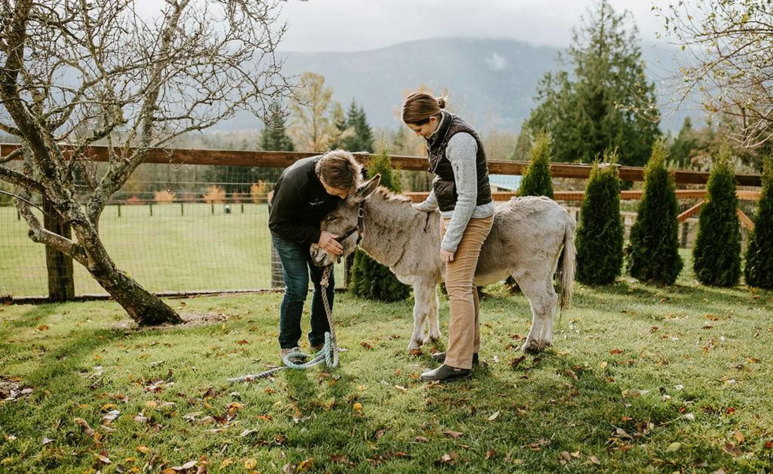 Two staff employees outside with a donkey Two staff employees outside with a donkey