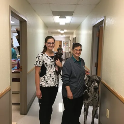 Two female staff members from North Country Veterinary Services are standing in the hallway smiling with a Great Dane and small black puppy.