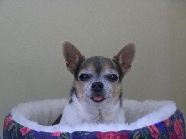 Axel just hanging out