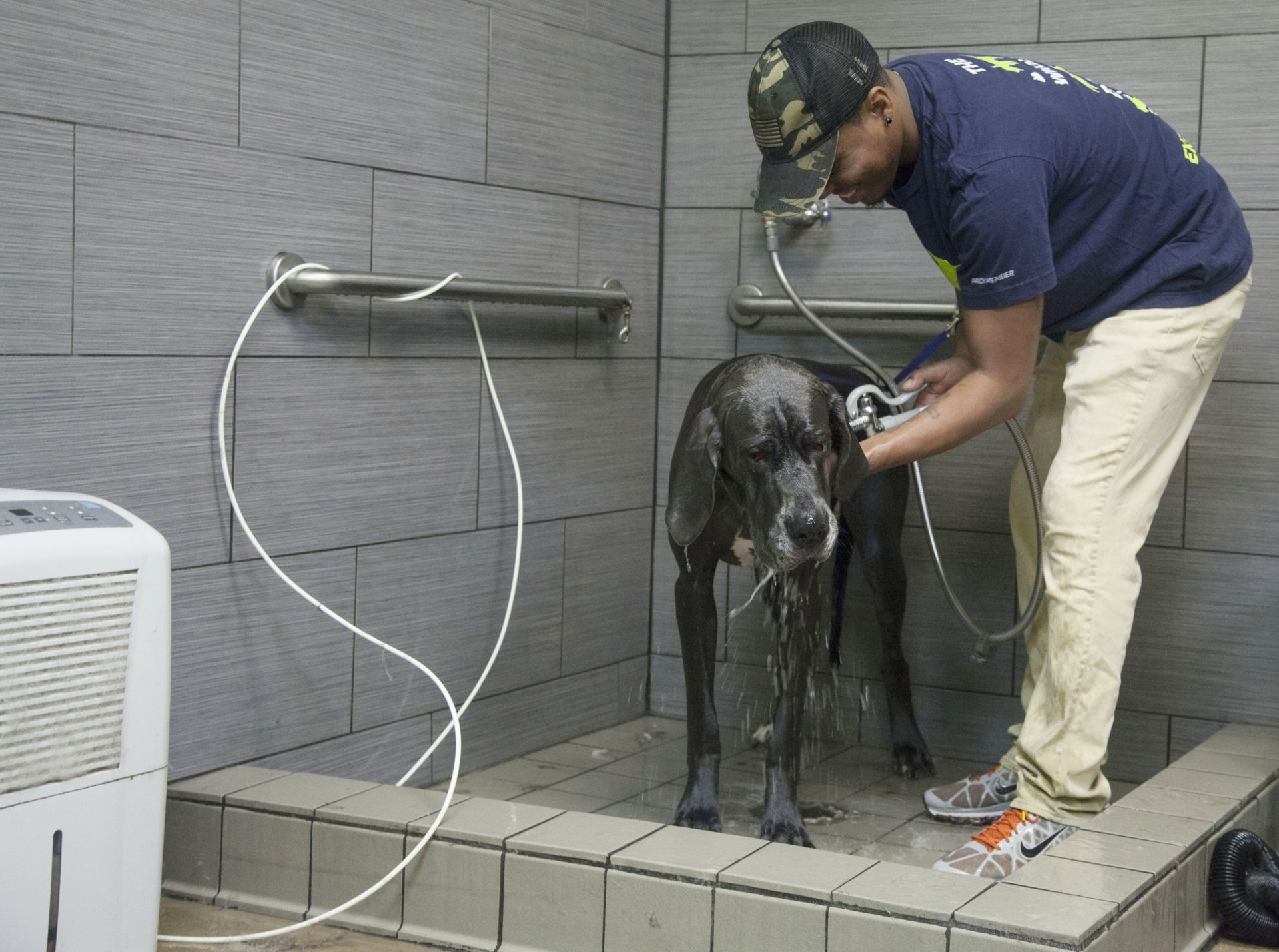 Doguroo Wash Station