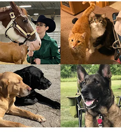 Heather of Value Vet, her horse, dogs, and cats. Heather of Value Vet, her horse, dogs, and cats.