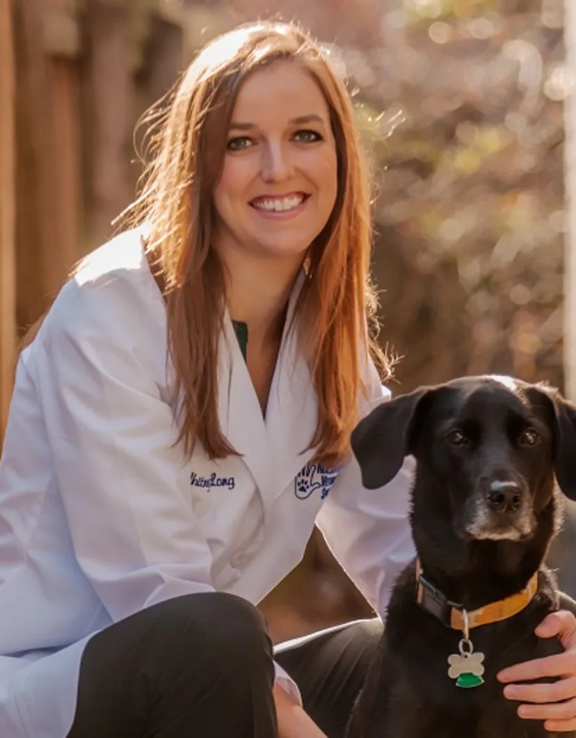 Whitney Long, DVM at Nashville Veterinary Specialists