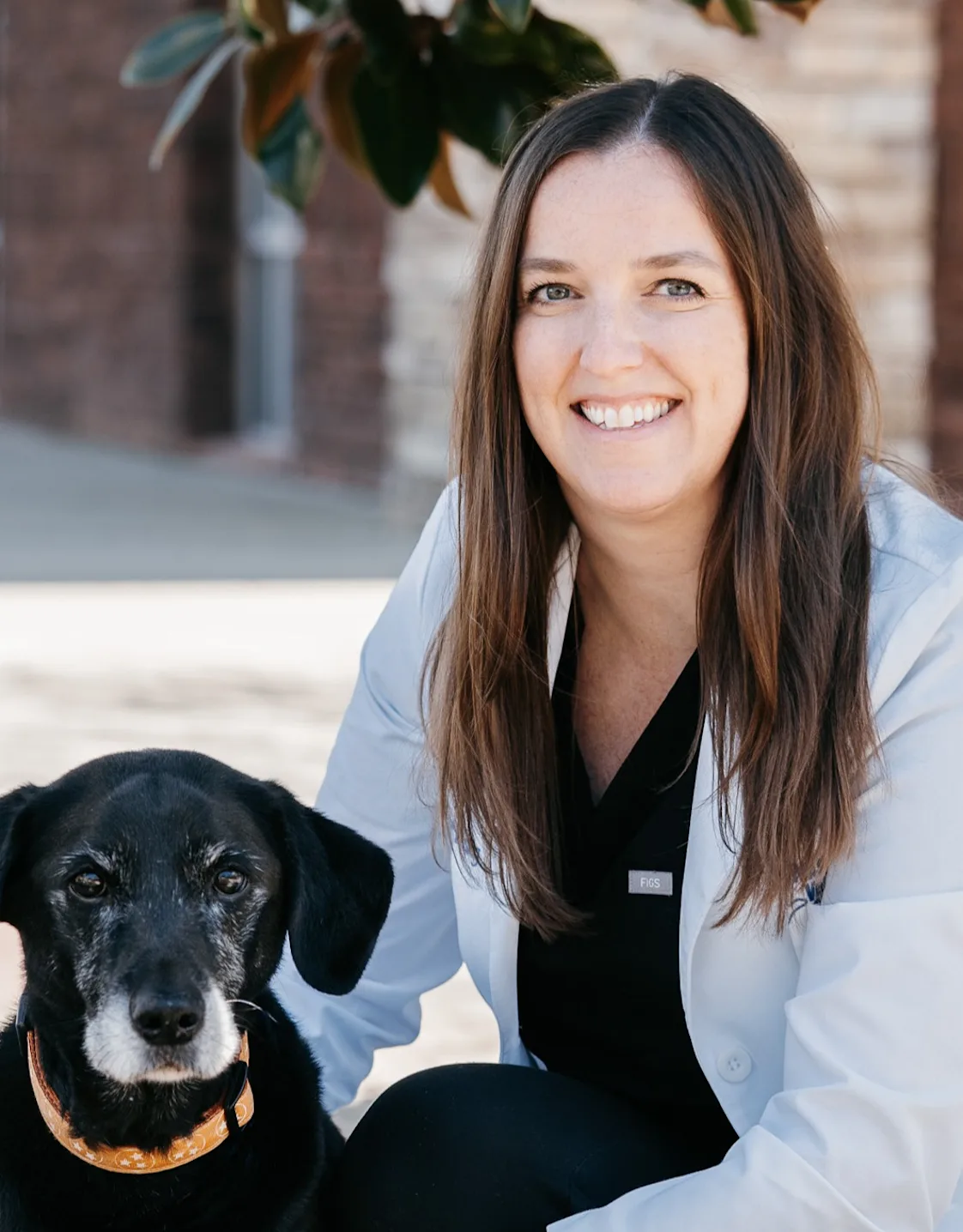 Whitney Long, DVM at Nashville Veterinary Specialists Whitney Long, DVM at Nashville Veterinary Specialists