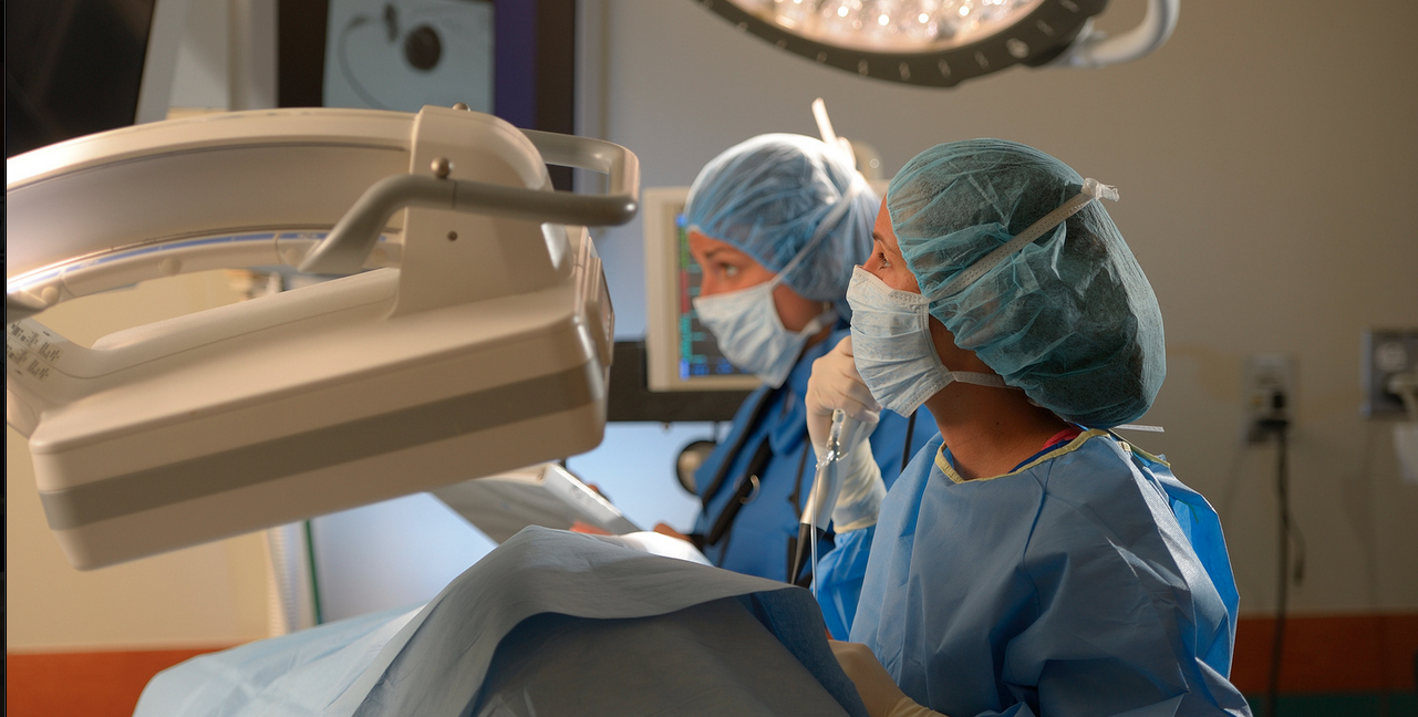 Interventional Radiology & Endoscopy Red Bank Veterinary Hospital