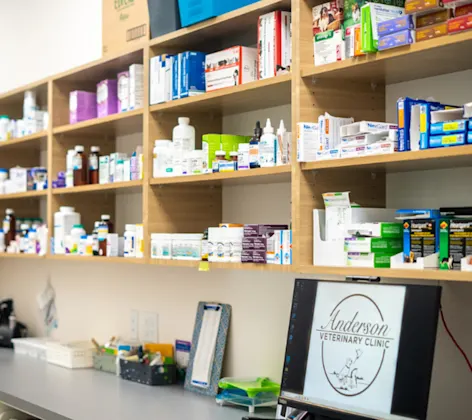 Pharmacy Pharmacy