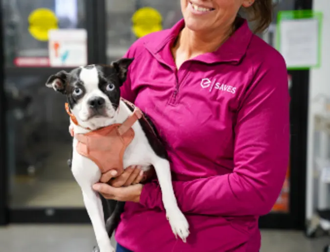 Staff Member Holding Dog Looking at Camera Staff Member Holding Dog Looking at Camera