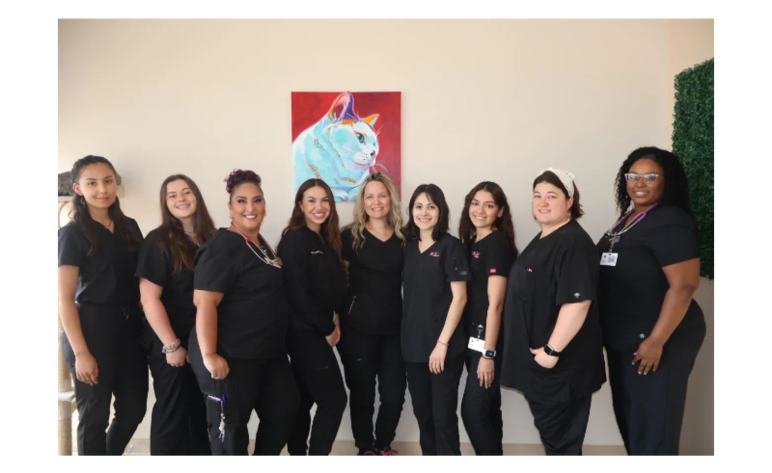 Team at Houston Cat Hospital Team at Houston Cat Hospital