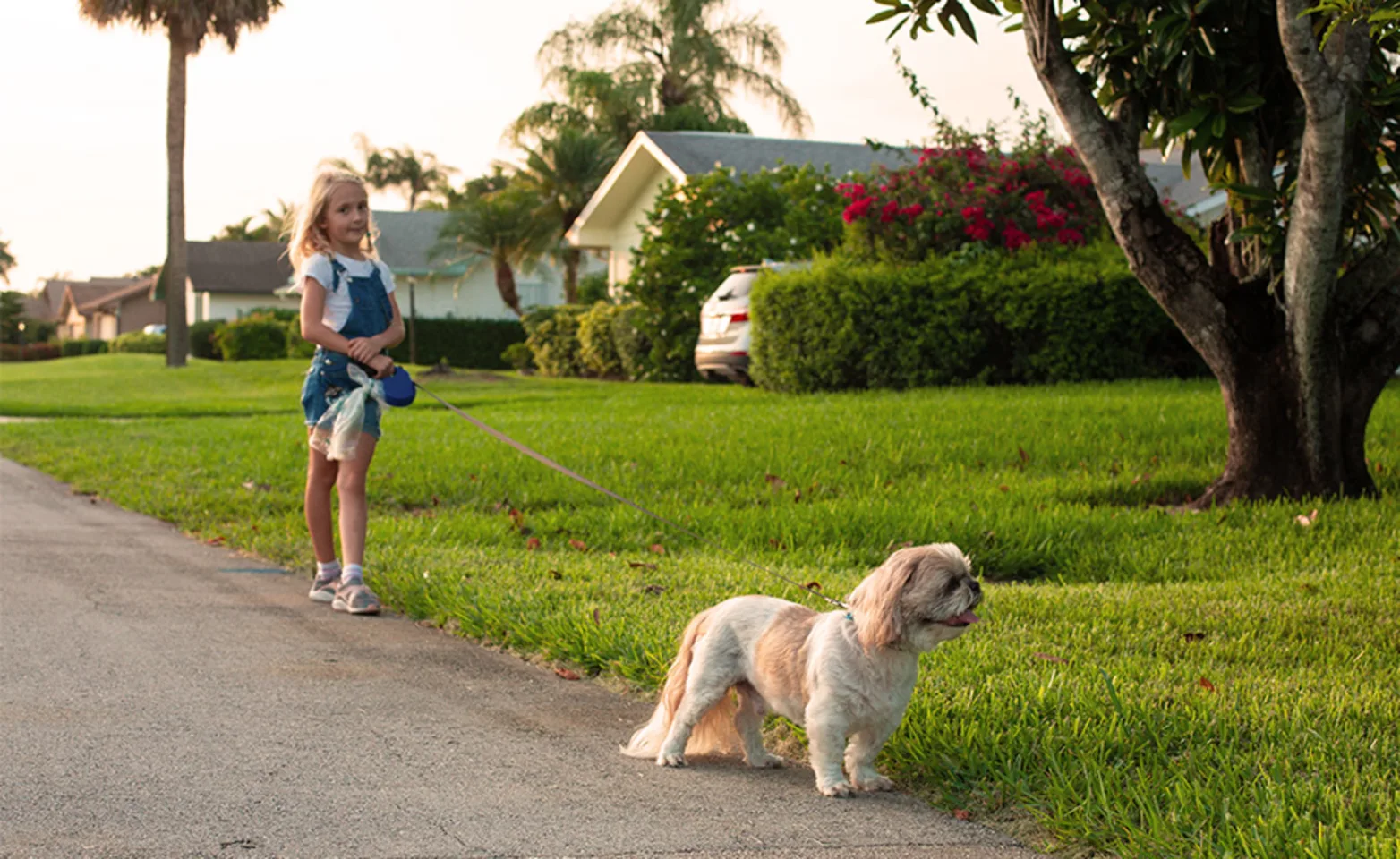 A girl walking a small dog down the road