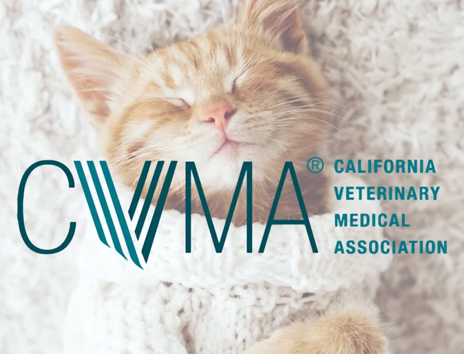 CVMA CVMA