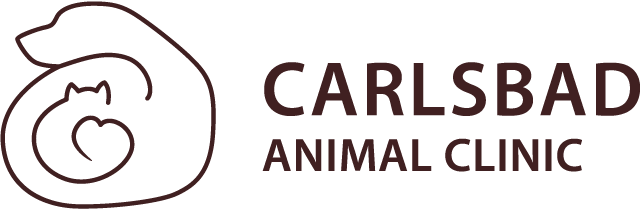 Carlsbad Animal Clinic: Homepage
