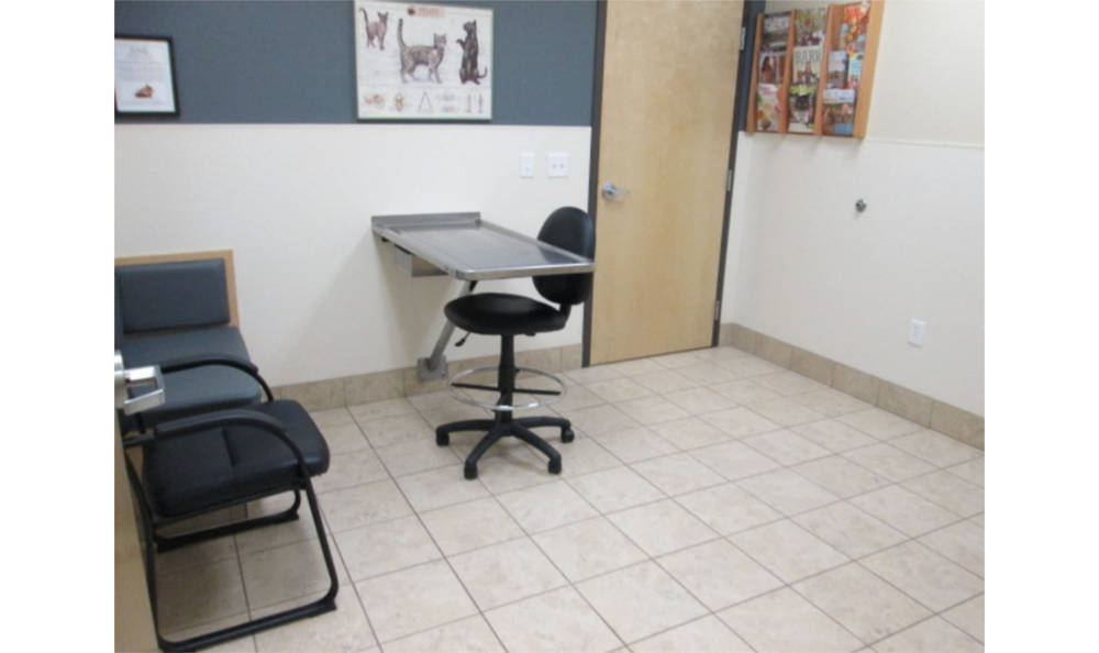 Eagle Animal Clinic Examination Area