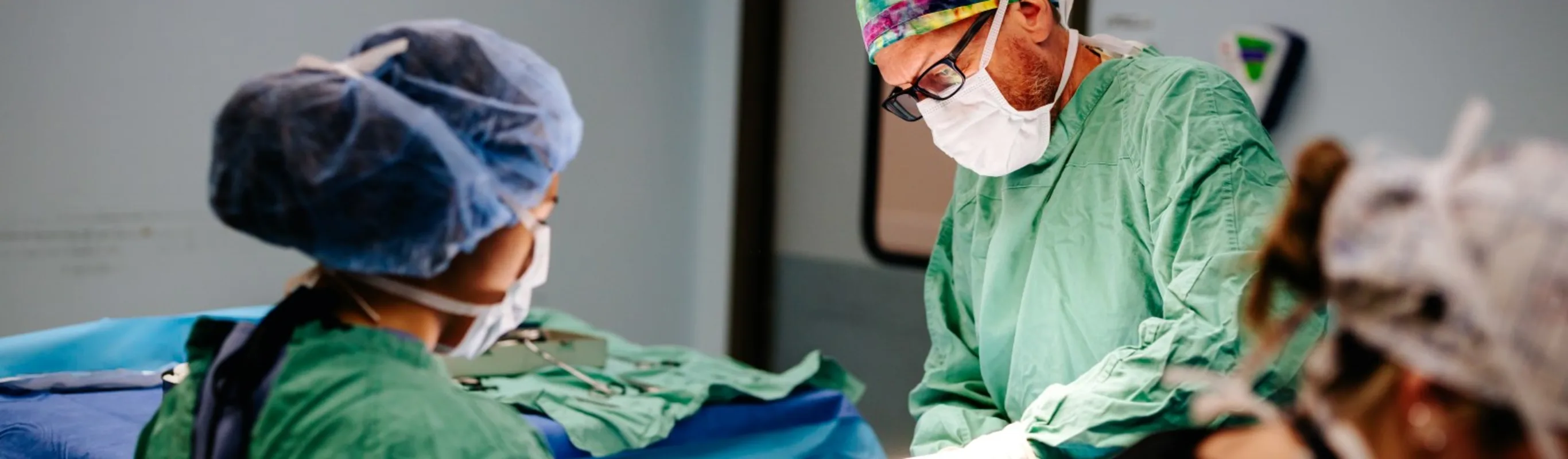 Vets performing surgery Vets performing surgery