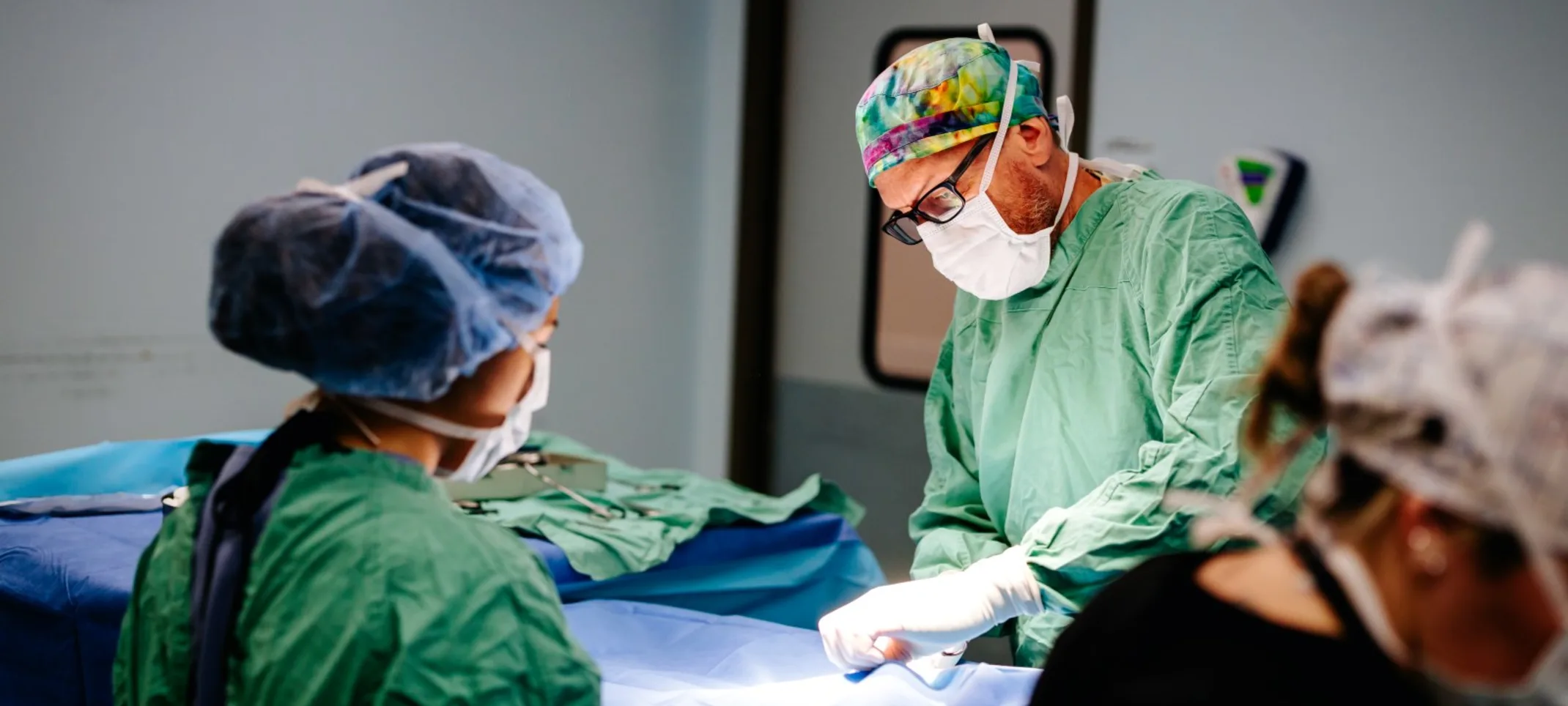 Vets performing surgery Vets performing surgery