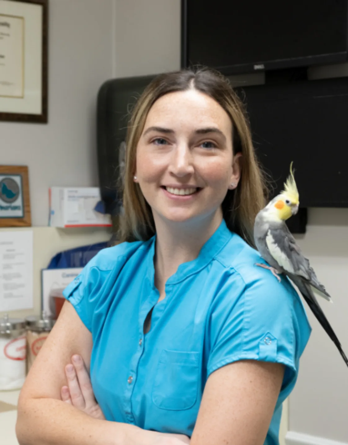 Kelly Dimon - Licensed Veterinary Technician Kelly Dimon - Licensed Veterinary Technician