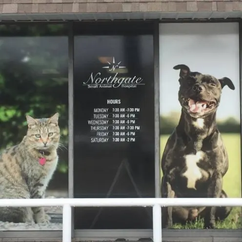 Northgate Small Animal Hospital Front Window