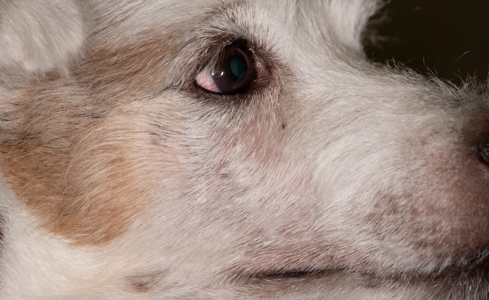 Facial Swelling After Facial Swelling After