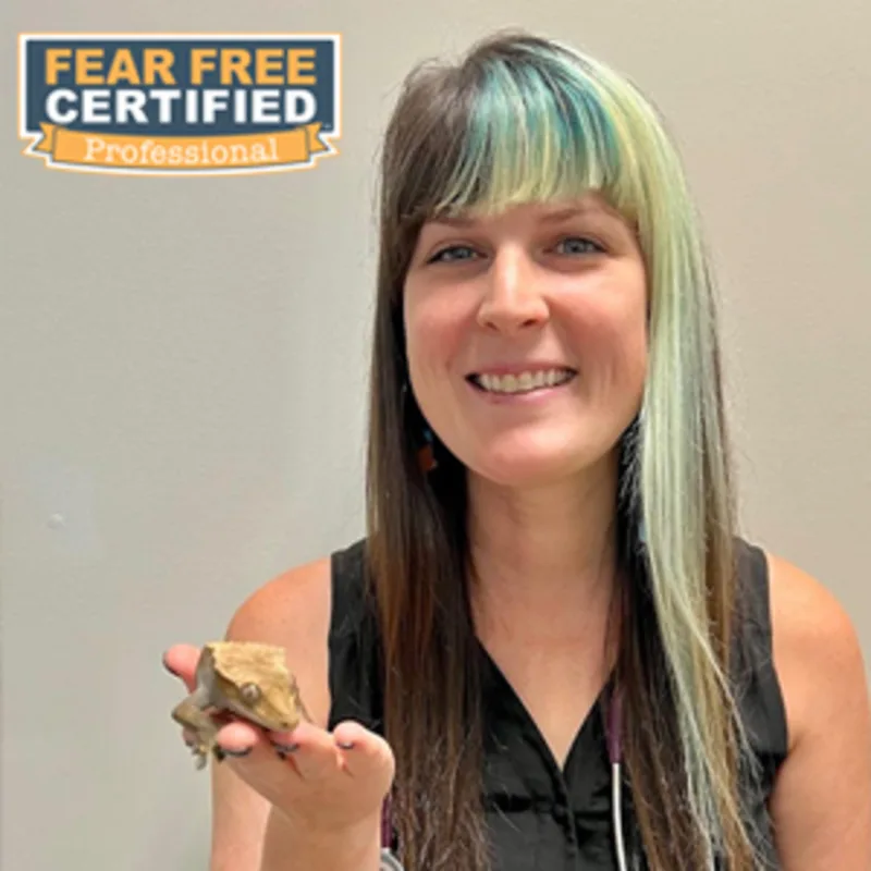 Dr. Aubrey Traina holding a lizard Dr. Aubrey Traina holding a lizard