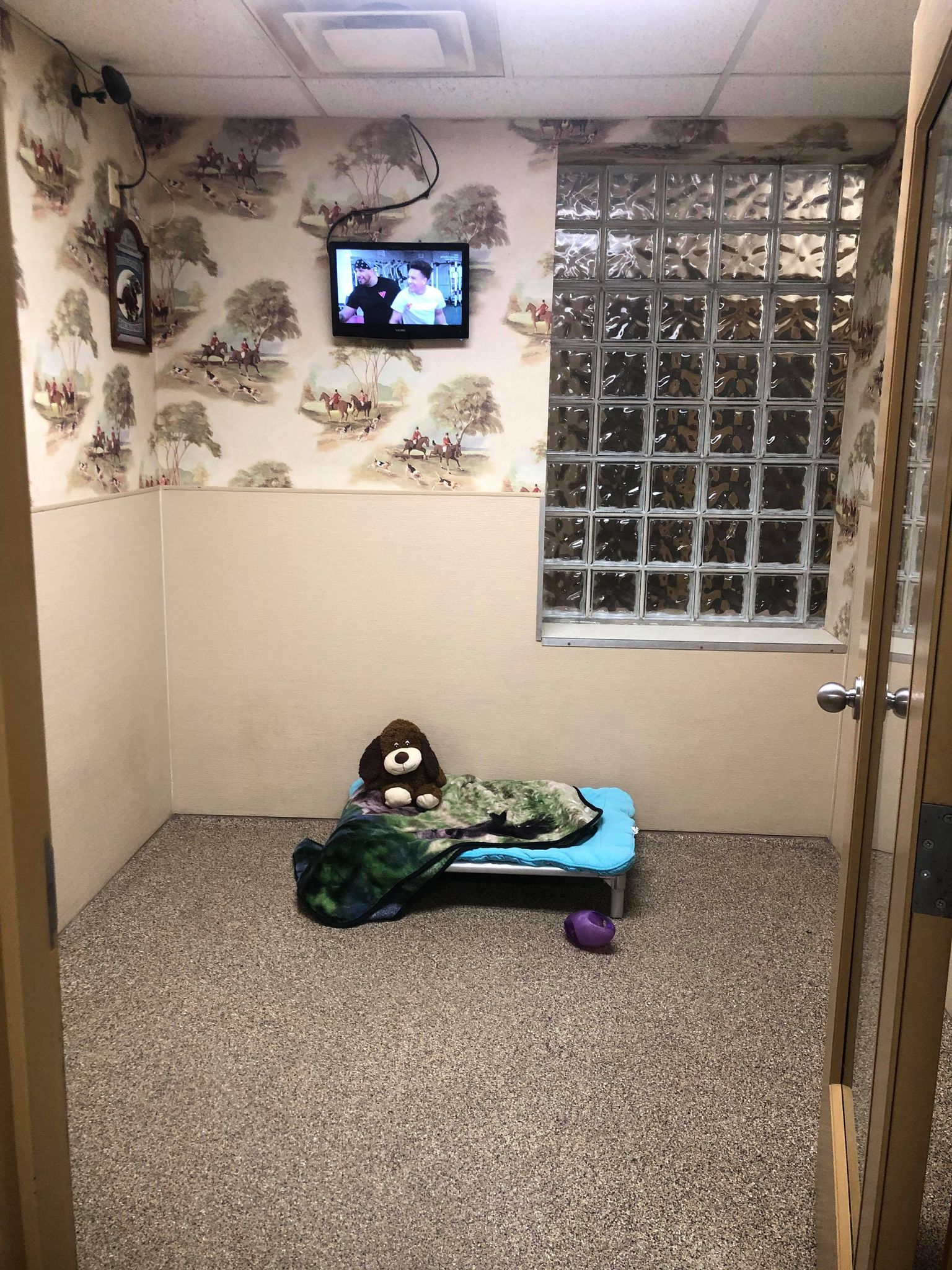 Horse N Hound 9 inside