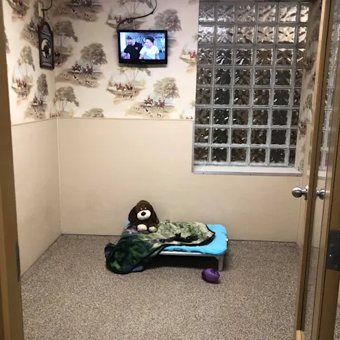 Horse N Hound 9 inside Horse N Hound 9 inside