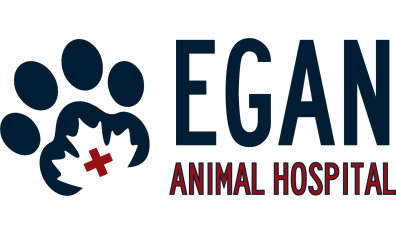 Egan Fife Animal Hospital 0710 - Header Logo