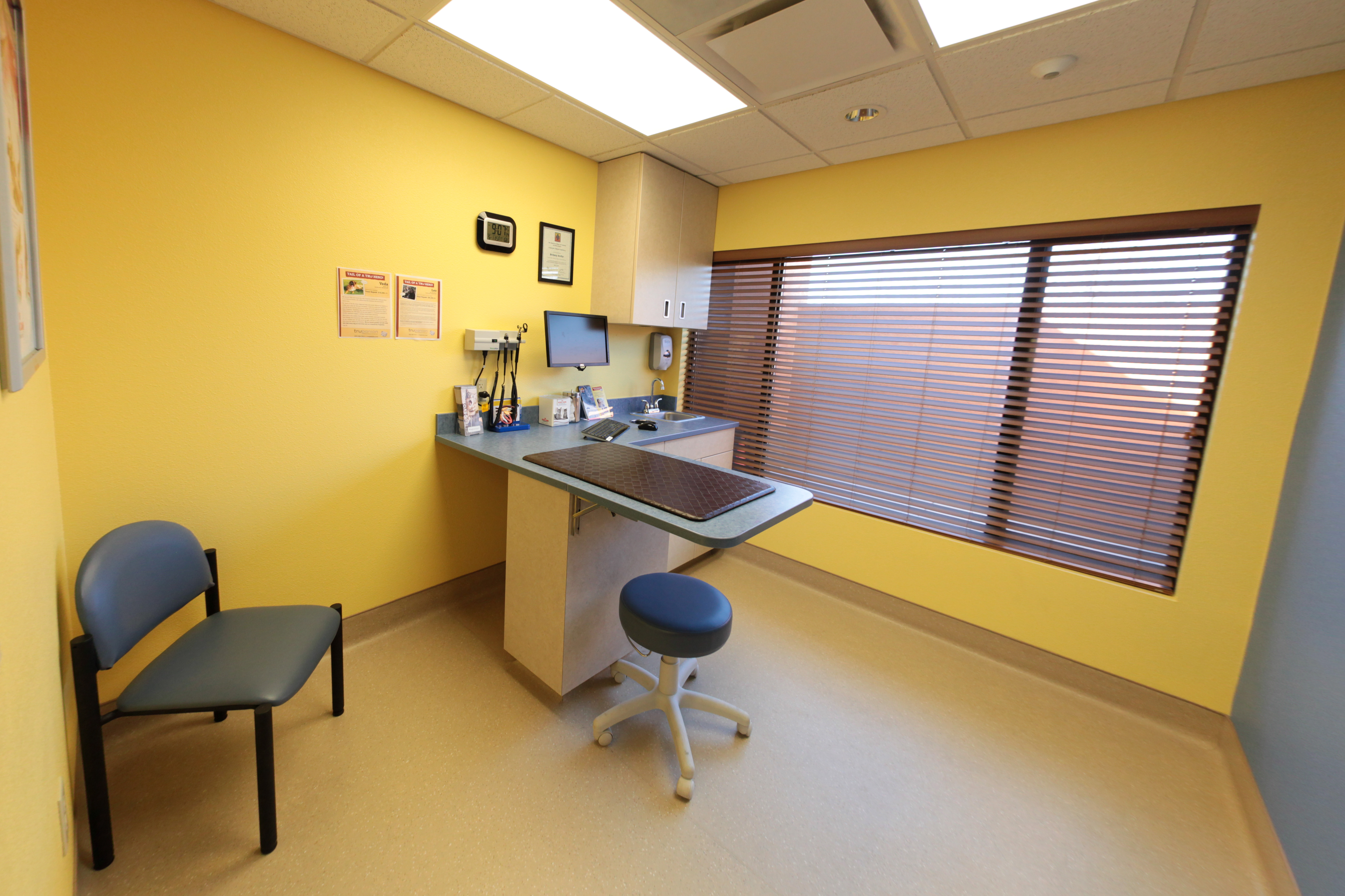 Advanced Animal Care of Colorado Exam Room