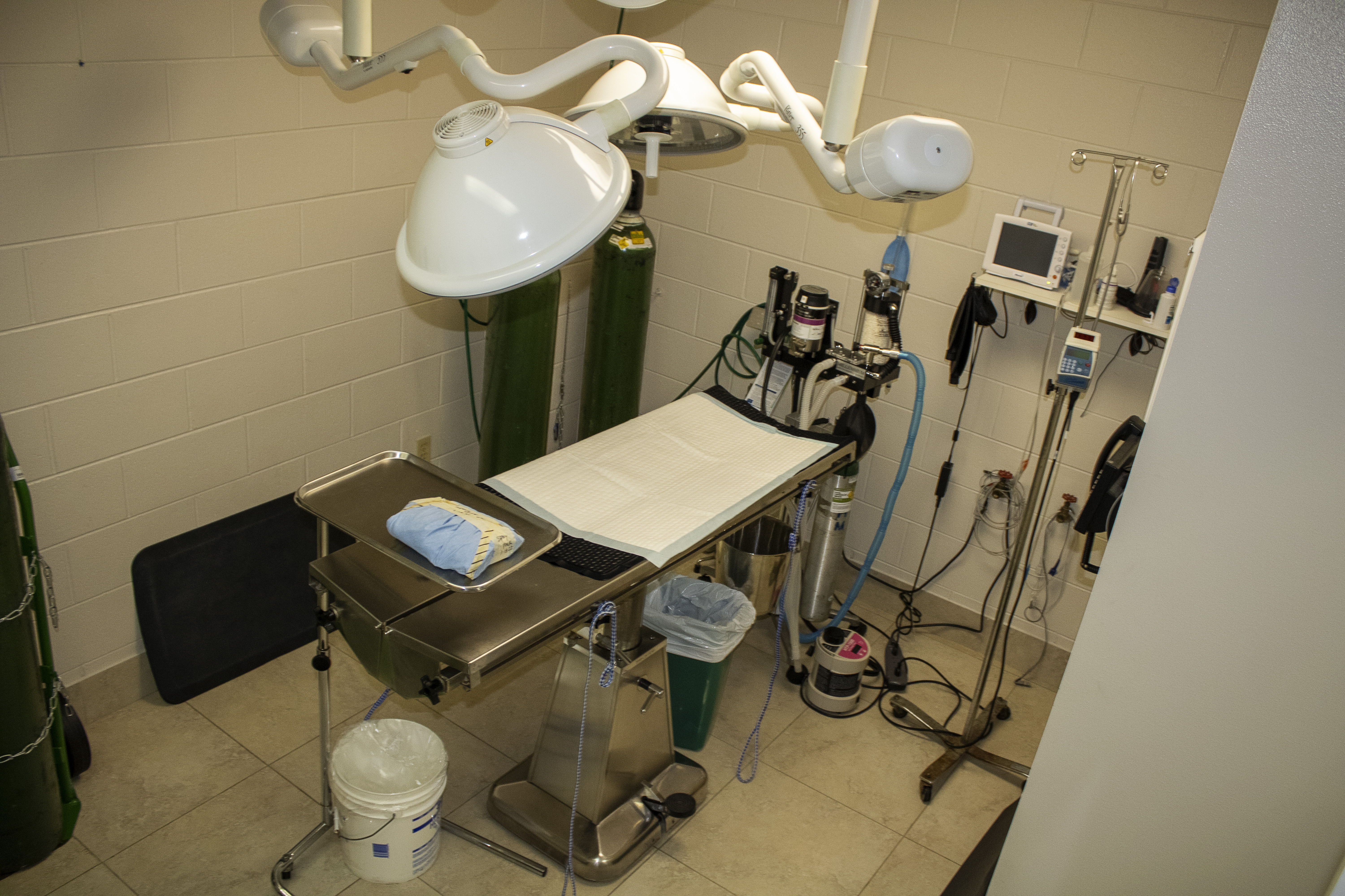 Parkway Veterinary Hospital Surgery Suite