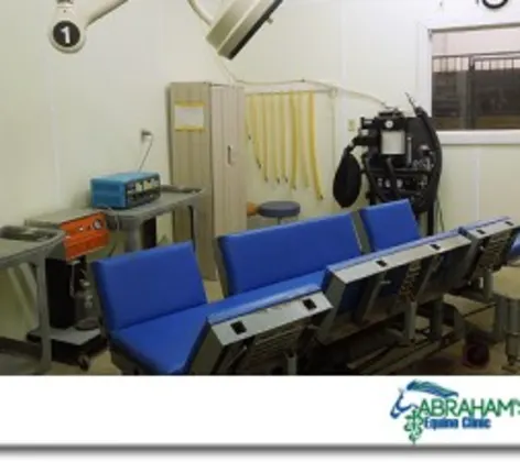 Abraham's Equine Clinic examination room Abraham's Equine Clinic examination room