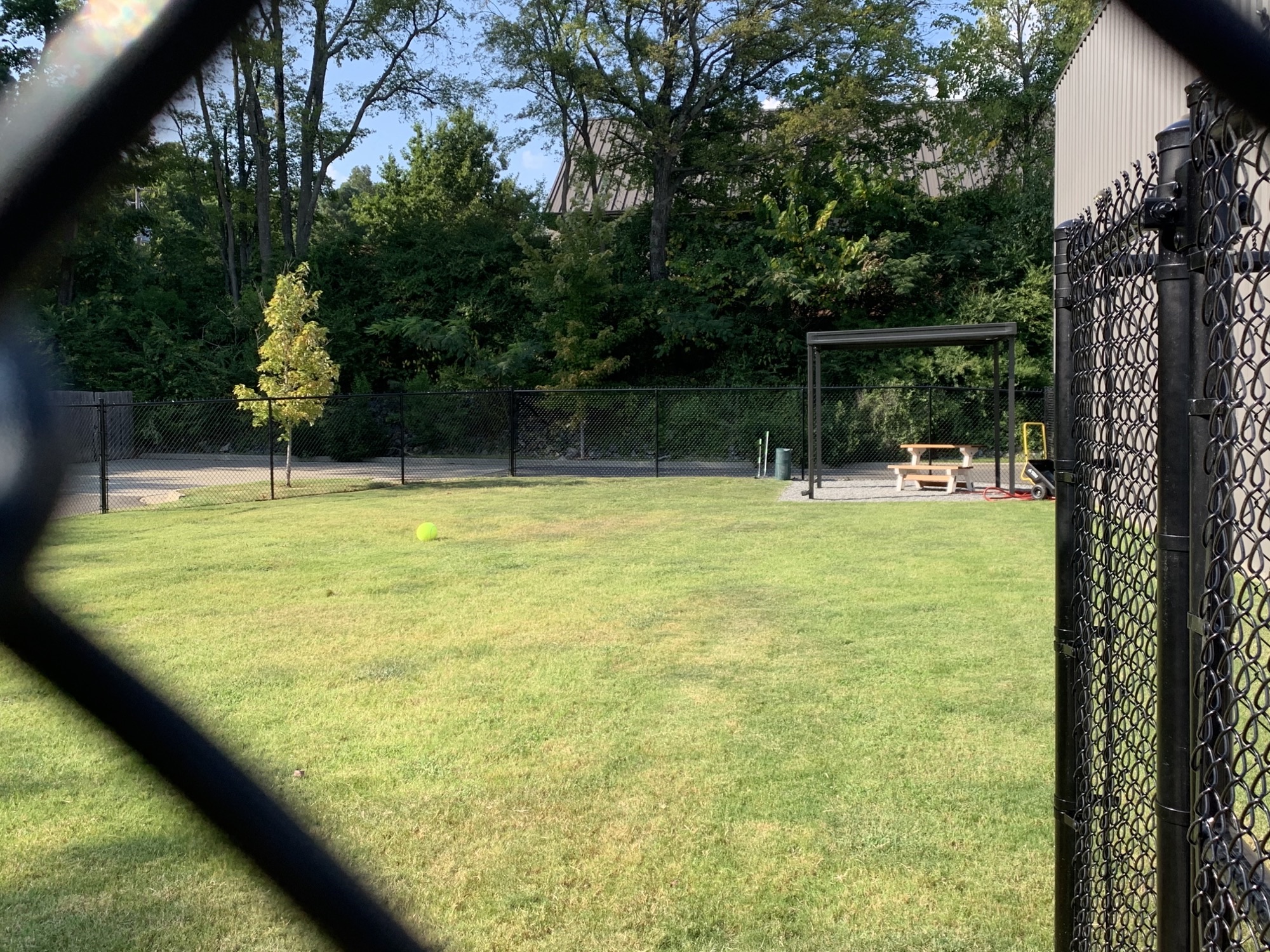  Countryside Animal Hospital of Hot Springs 0162 - Exterior Yard 3