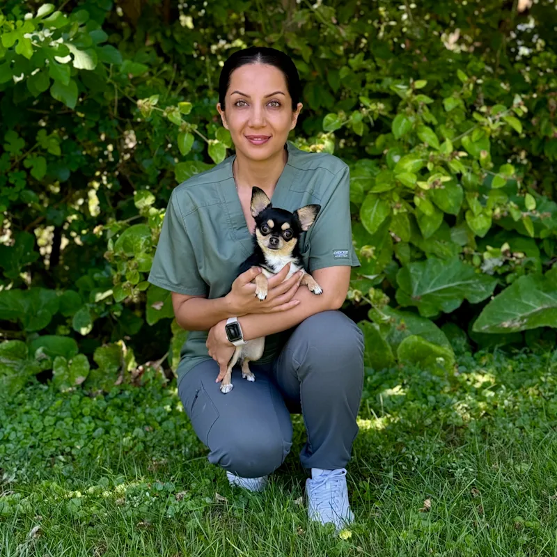 Dr Fereshteh Afi Dr Fereshteh Afi