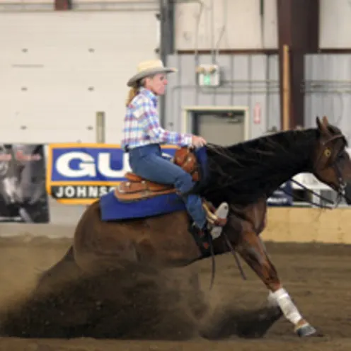 person riding horse in dirt person riding horse in dirt