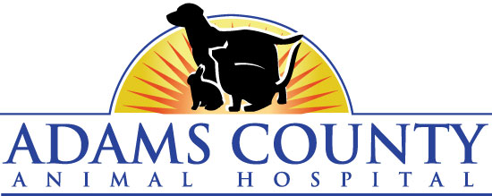 Homepage | Adams County Animal Hospital