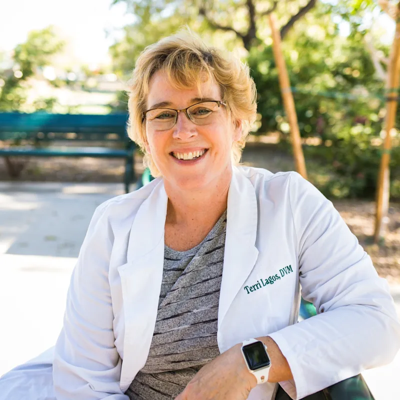 Terri Lagos Terri Lagos