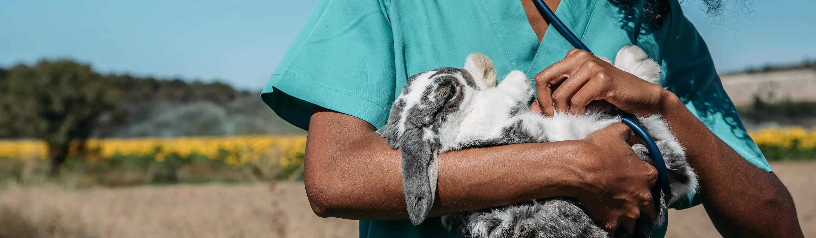 Woman with Rabbit