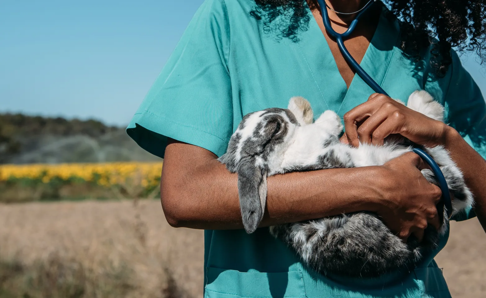 Woman with Rabbit