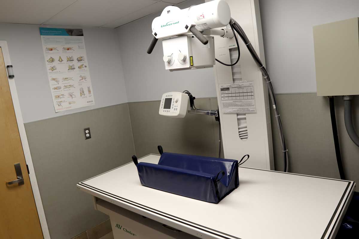 X-Ray Room