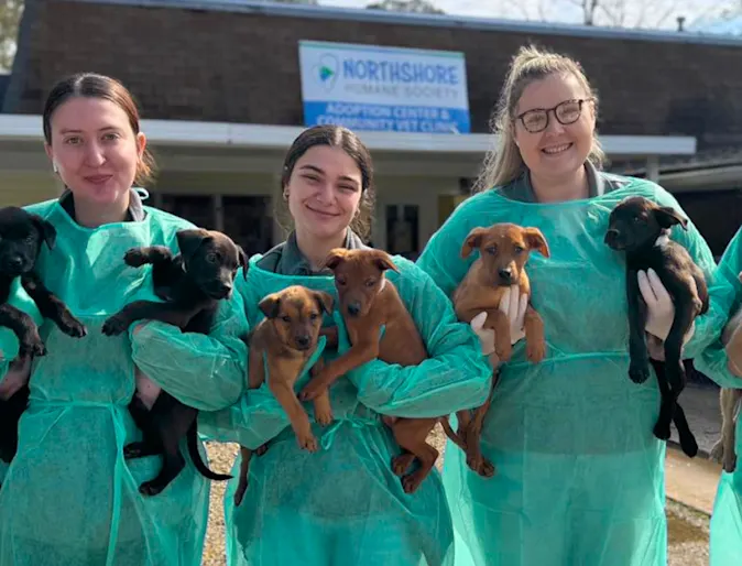 Neglected and fighting to survive: How Metairie Small Animal Hospital saved eight puppies’ lives Neglected and fighting to survive: How Metairie Small Animal Hospital saved eight puppies’ lives