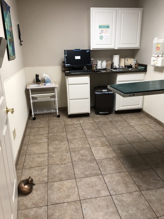 St. George Hunt Memorial Veterinary Hospital Cat Room