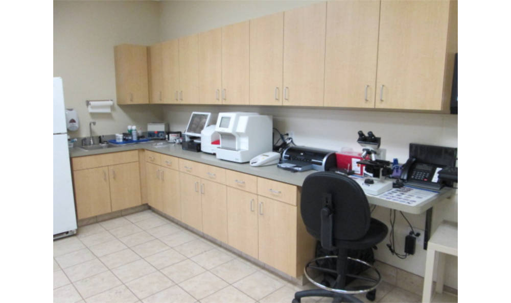 Eagle Animal Clinic Lab