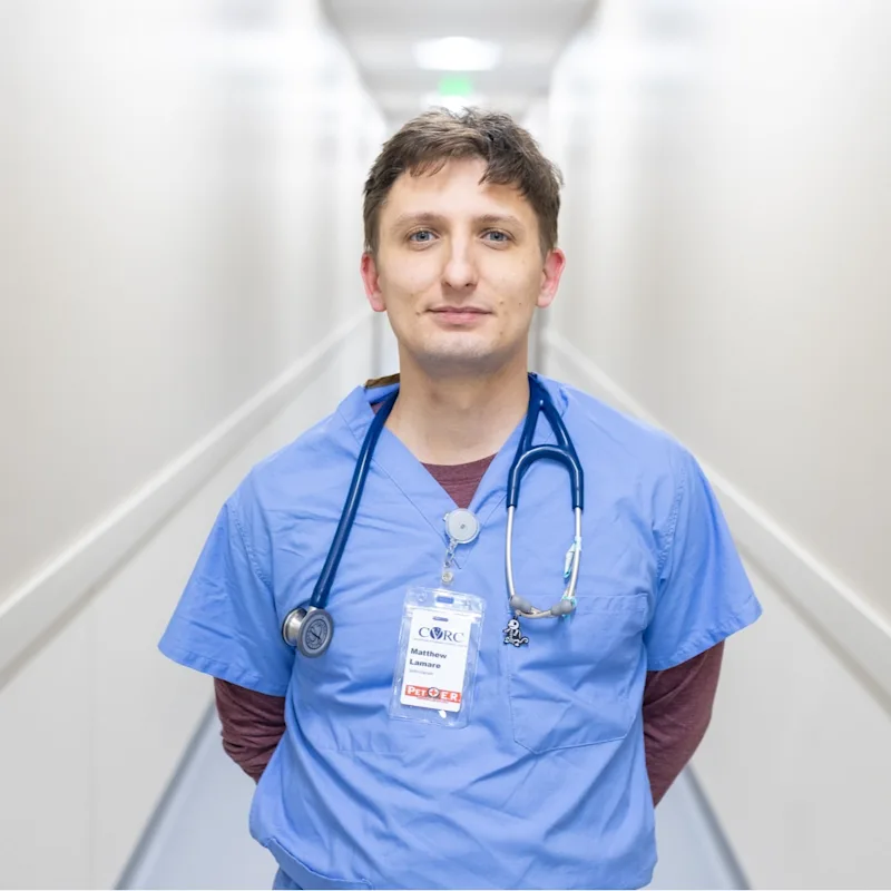 Matthew Lamare Matthew Lamare