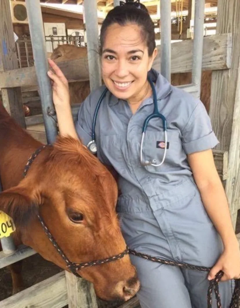 A veterinarian with a brown cow 