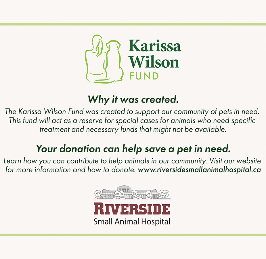 Karissa Wilson Fund, why it was created, your donation can help save a pet in need