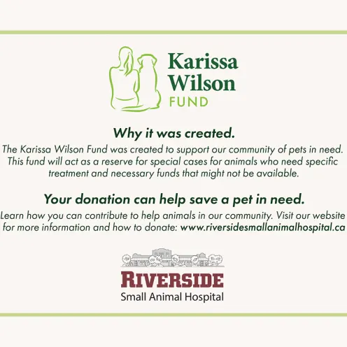 Karissa Wilson Fund, why it was created, your donation can help save a pet in need