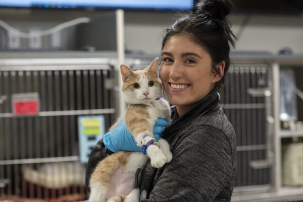 Staff member with an orange cat
