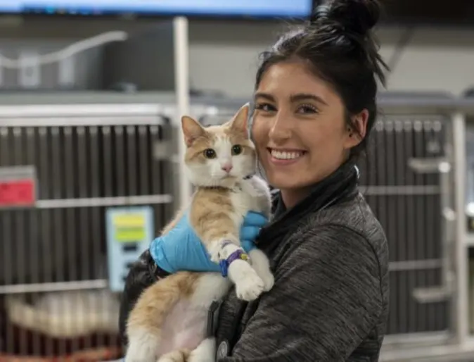 Staff member with an orange cat Staff member with an orange cat