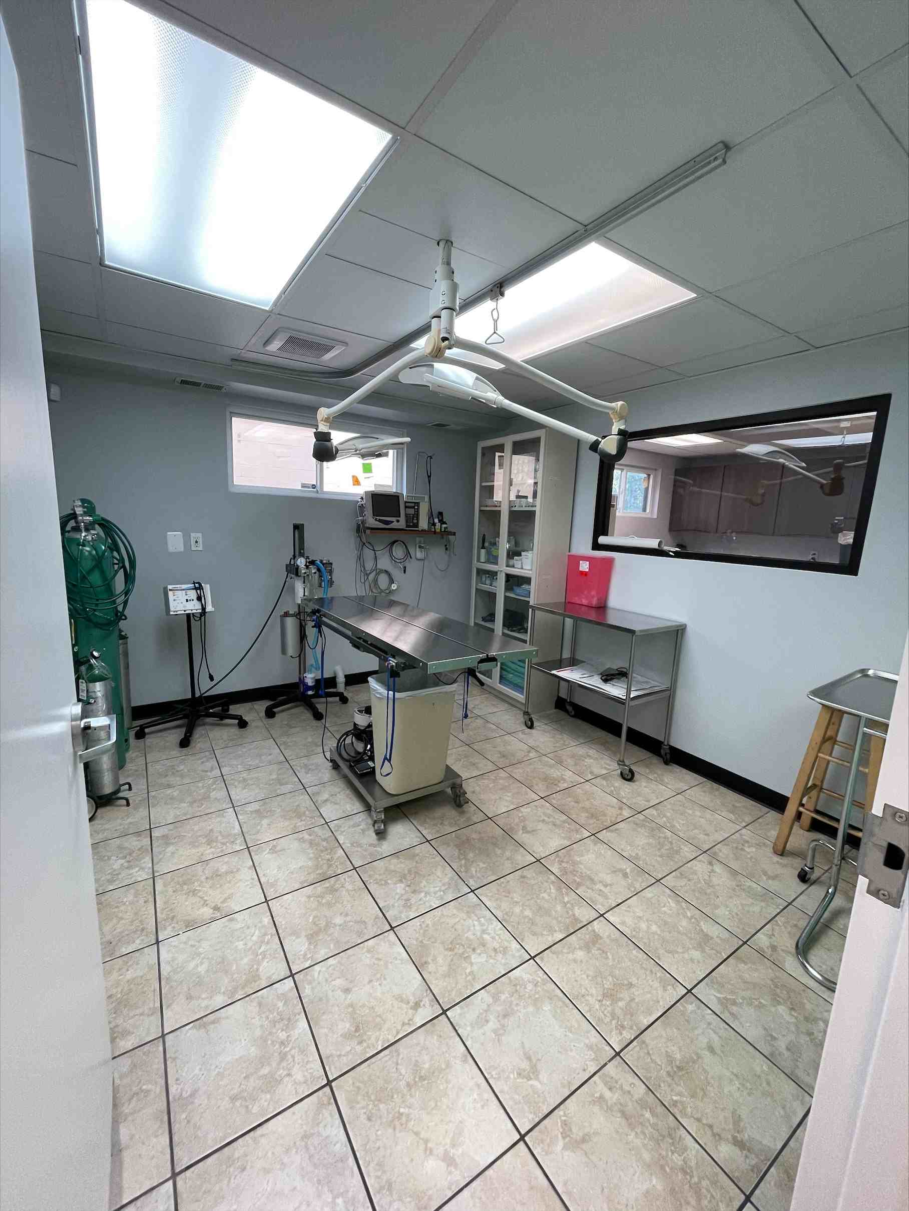 Perry Hall Animal Operating Room