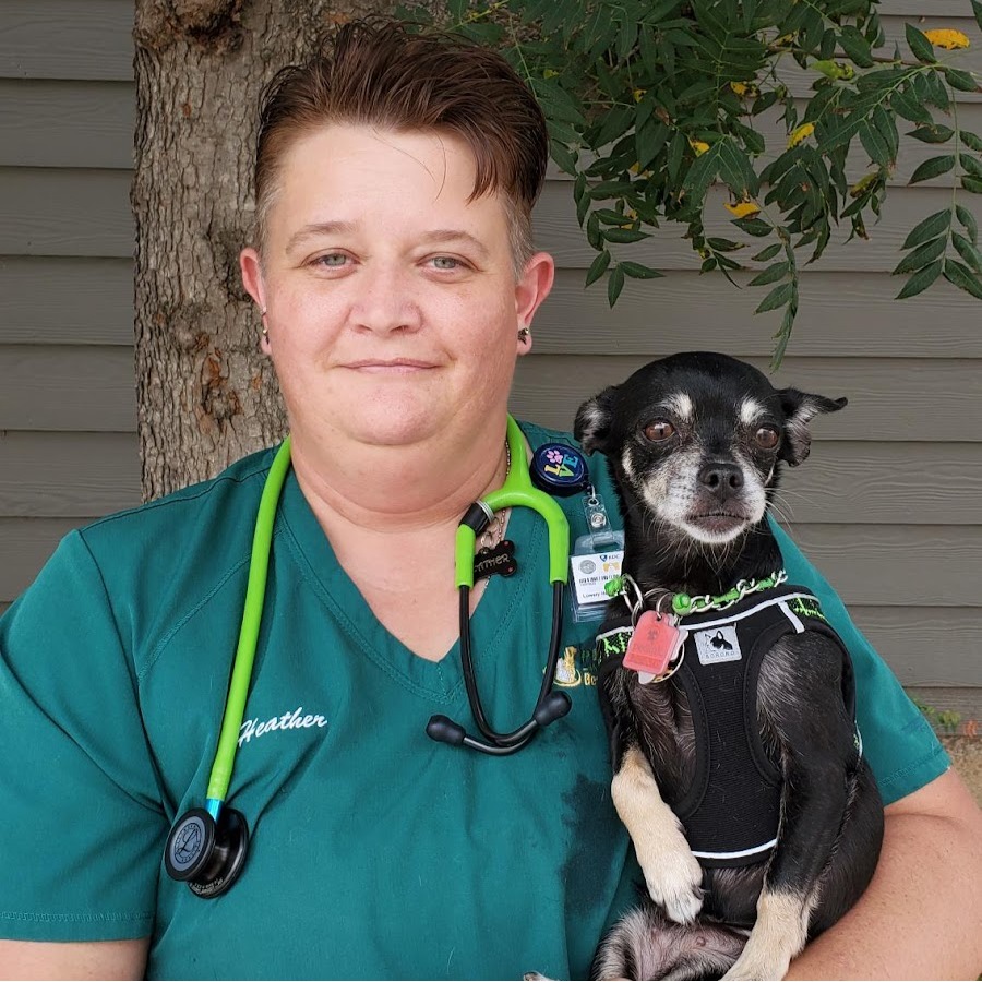 Heather Cibolo Small Animal Hospital