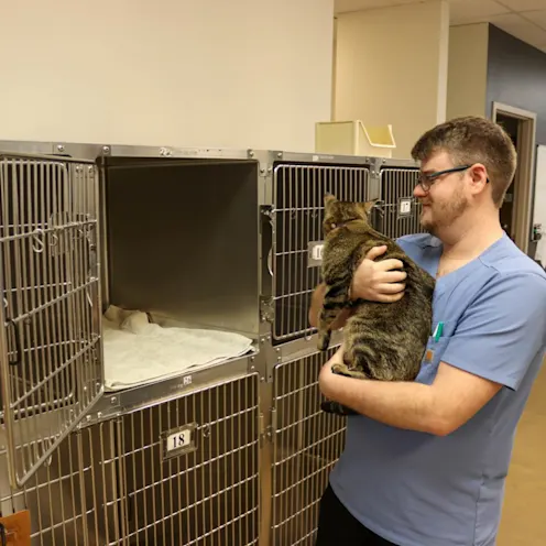 BR Cat Kennel BR Cat Kennel