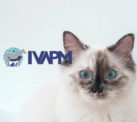  International Veterinary Academy of Pain Management (IVAPM)